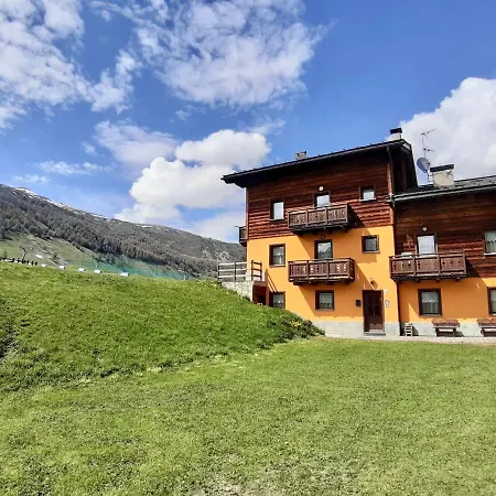 Sunflower Livigno