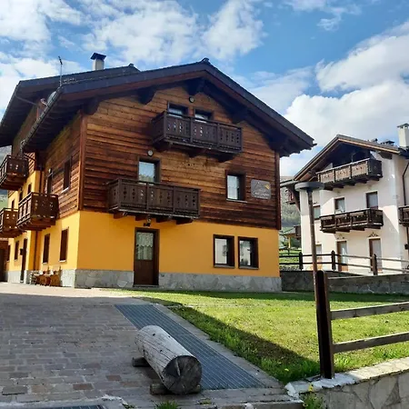 Sunflower Livigno